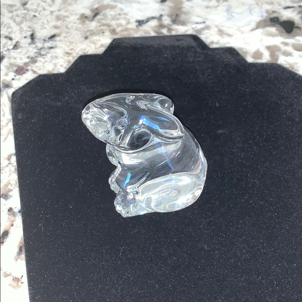 Baccarat Bunny